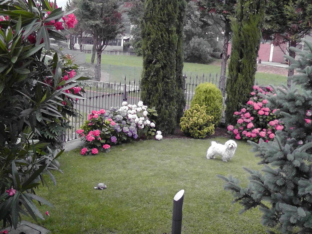 B&B I Viandanti Piancogno Экстерьер фото